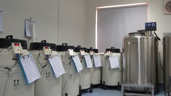 Người Việt chi số tiền lớn ra nước ngoài điều trị bằng liệu pháp tế bào gốc