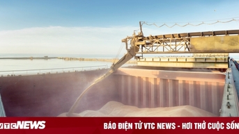 ការ​នាំ​ចូល​គ្រាប់​ធញ្ញជាតិ​របស់​សហភាព​អឺរ៉ុប​ពី​រុស្ស៊ី​កើន​ដប់​ដង