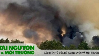 카자흐스탄 산불로 많은 사람이 사망하고 실종됐다