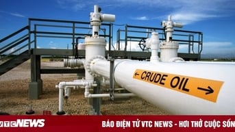 Giá xăng dầu hôm nay 3/12: Tăng giảm trái chiều