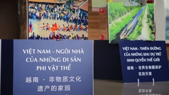 Đã sẵn sàng cho Lễ hội Văn hoá