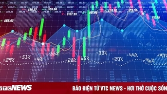 보라색 주식 시리즈가 천장을 찍었고 VN 지수는 약 22포인트 상승했습니다.