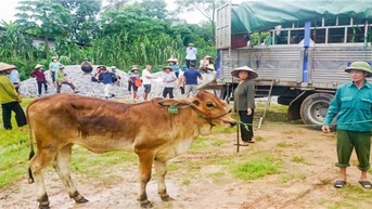 ថៃ ង្វៀន ជំរុញការផ្ទេរបច្ចេកទេសផលិតកម្មដល់គ្រួសារក្រីក្រ និងជិតក្រីក្រ