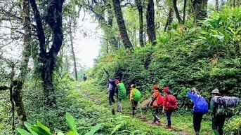 Một con đường đá cổ xưa kỳ lạ nối Lào Cai với Lai Châu, la liệt cây cổ thụ hình thù kỳ dị trong rừng