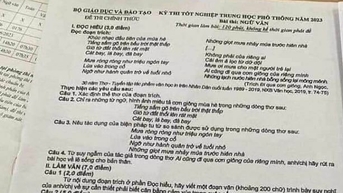 Lọt đề thi Văn, Toán từ thí sinh ở Cao Bằng và Yên Bái