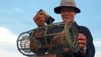 까마우 해안을 따라 돌게 사냥