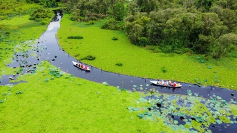 ការណែនាំសម្រាប់បទពិសោធន៍ទេសចរណ៍គួរឱ្យចាប់អារម្មណ៍នៅថ្ងៃទី 2 ខែកញ្ញានៅភាគខាងត្បូង