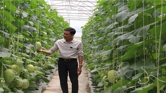 Nông nghiệp công nghệ cao giúp đồng bào DTTS thay đổi thói quen sản xuất