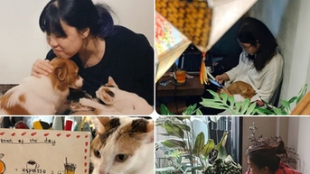 Điểm hẹn lý tưởng của người yêu thú cưng