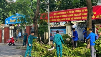 Hà Nội hoàn thành thu dọn cây xanh gãy, đổ ở các quận trước 20/9