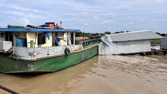 Điều tra vụ sà lan tông sập nhà bè nuôi cá trên sông Hậu