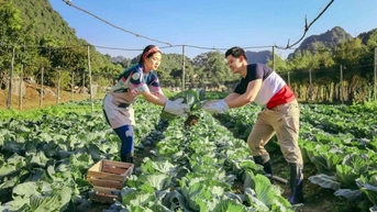 Bức tranh thiên nhiên sống động trong lòng Tràng An