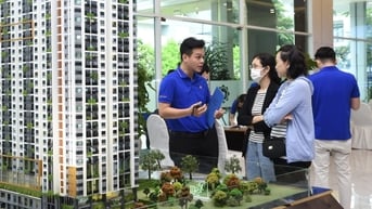 Giá nhà ở tăng cao không phải vì môi giới “bơm thổi