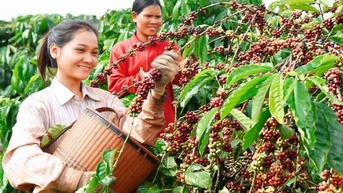Những lưu ý cho doanh nghiệp Việt