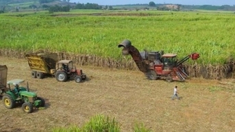 Đổi mới công nghệ trong sản xuất mía đường để nâng cao năng lực cạnh tranh