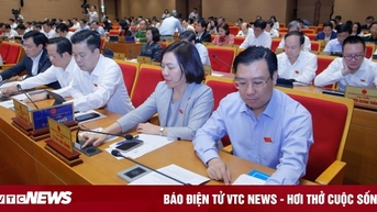 Hà Nội sẽ trao tặng danh hiệu Công dân danh dự Thủ đô cho người nước ngoài