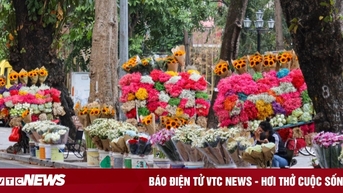 Sát ngày 20/11, hoa tươi tăng giá mạnh
