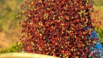 Tăng mạnh trở lại, thị trường đang đạt đỉnh?