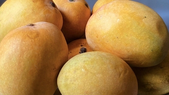 Bệnh nhân tiểu đường có thể ăn bao nhiêu xoài mỗi ngày?