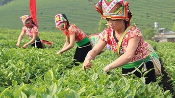 Quy định mới về hỗ trợ đất sản xuất cho hộ đồng bào dân tộc thiểu số nghèo