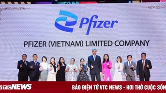 파이저 베트남, '2023 아시아 최고의 직장'으로 선정