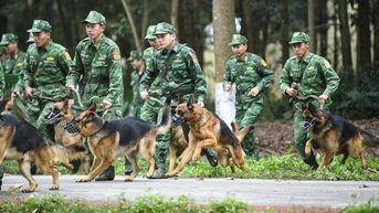 'Trinh sát' mắt tinh, tai thính của biên phòng
