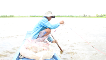 Mùa nước nổi Long An, ra ruộng mênh mông xem nông dân bắt cá đồng, có cá linh, cá rô, cá sặc rằn