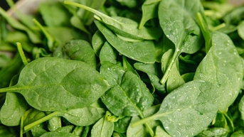 Uống nước ép rau nào để vừa hạ huyết áp, vừa tránh ung thư?