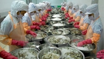 Cảnh báo sớm giúp doanh nghiệp thuỷ sản vượt qua khó khăn