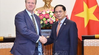 ជំរុញកិច្ចសហប្រតិបត្តិការវៀតណាម-អង់គ្លេសលើវិស័យជាច្រើន។
