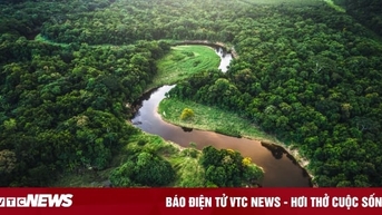 Phát hiện nền văn minh cổ đại dưới tán rừng Amazon