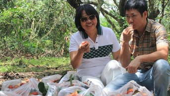 Vô một vườn trái cây đặc sản ở Khánh Hòa, dân tình tha hồ bẻ quả ngon ăn, ra suối mát chèo thuyền