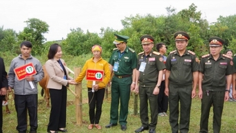 Hỗ trợ bò giống cho người dân biên giới Việt - Lào: niềm vui "sinh sôi"