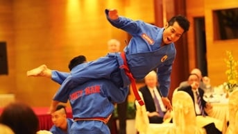 Vovinam được công nhận di sản văn hóa phi vật thể quốc gia