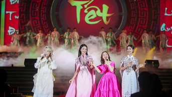 Khai mạc Festival hoa Mê Linh năm 2024