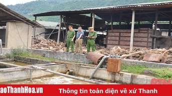 Phát hiện, kiểm tra gần 800 vụ vi phạm trên các lĩnh vực bảo vệ môi trường