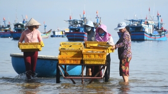 Chợ cá nơi "nghĩa địa tàu cổ"