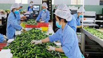 Nâng cao giá trị sản phẩm để "thoát kiếp" gia công