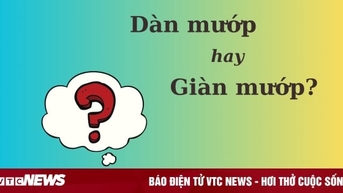 Thử thách Tiếng Việt: 'Dàn mướp' hay 'giàn mướp'?