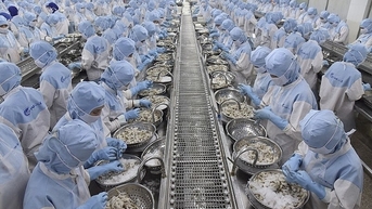 ការ​នាំ​ចេញ​គ្រឿង​សមុទ្រ​នាំ​មក​នូវ​ប្រាក់ ៨,៣ ពាន់​លាន​ដុល្លារ​សម្រាប់​វៀតណាម​ក្នុង​រយៈពេល ១០ ខែ