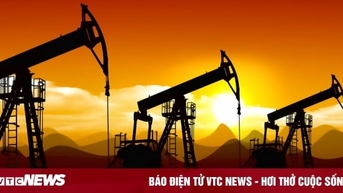Giá xăng dầu hôm nay 1/12: Tiếp tục giảm nhẹ