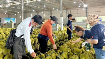 가장 중요한 성장 지역 코드를 지역적으로 유지하십시오.