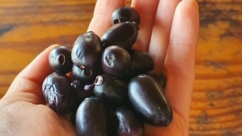 Lợi ích sức khỏe của trái trâm