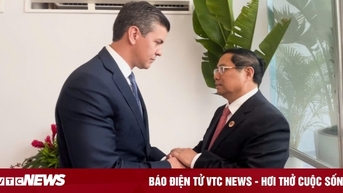Thủ tướng tiếp lãnh đạo các nước và tổ chức quốc tế nhân dự hội nghị G20