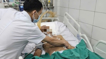Suy gan, viêm phổi, nhiễm trùng máu, nguy kịch vì nhiễm giun lươn