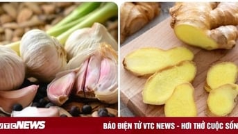 Ăn tỏi, gừng có tốt cho gan thận?
