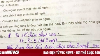 Bài toán 'chia đều 17 con ngựa cho 3 người' gây bão mạng