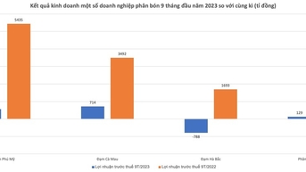 Đạm Phú Mỹ giảm lãi hơn 4.800 tỉ đồng, Đạm Hà Bắc chìm trong thua lỗ