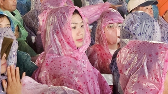 Hàng ngàn người đội mưa xem tôn vinh trà