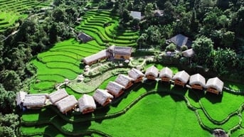 Mê mẩn ‘bức tranh’ ruộng bậc thang mùa lúa xanh ở Hoàng Su Phì